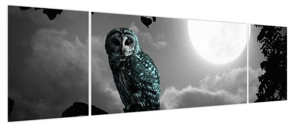 Obraz - Nocna sowa, niebieski (170x50 cm)