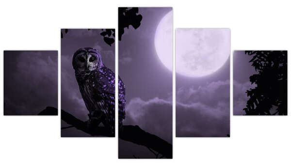 Obraz - Nocna sowa, fioletowy (125x70 cm)