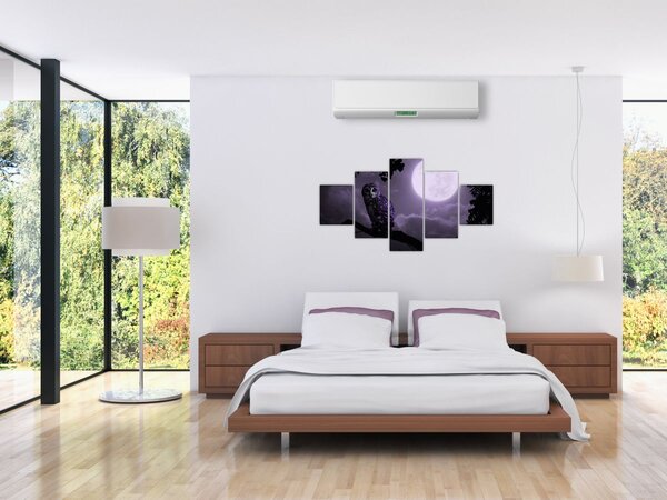 Obraz - Nocna sowa, fioletowy (125x70 cm)