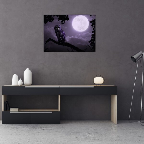 Obraz - Nocna sowa, fioletowy (70x50 cm)