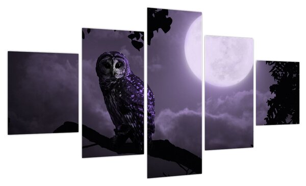 Obraz - Nocna sowa, fioletowy (125x70 cm)
