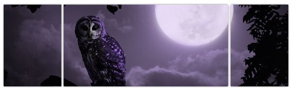 Obraz - Nocna sowa, fioletowy (170x50 cm)