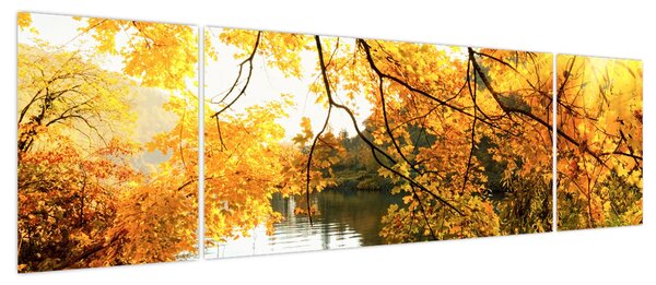 Obraz - Jesienne drzewo (170x50 cm)