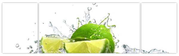 Obraz - Limes (170x50 cm)