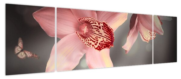 Obraz - Kwiaty i motyl (170x50 cm)