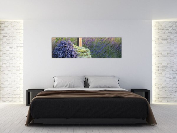 Obraz - Pęczki lawendy (170x50 cm)