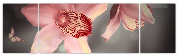 Obraz - Kwiaty i motyl (170x50 cm)