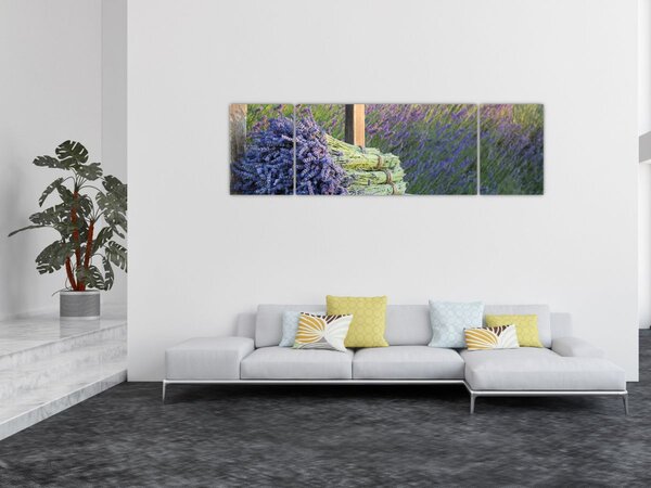 Obraz - Pęczki lawendy (170x50 cm)