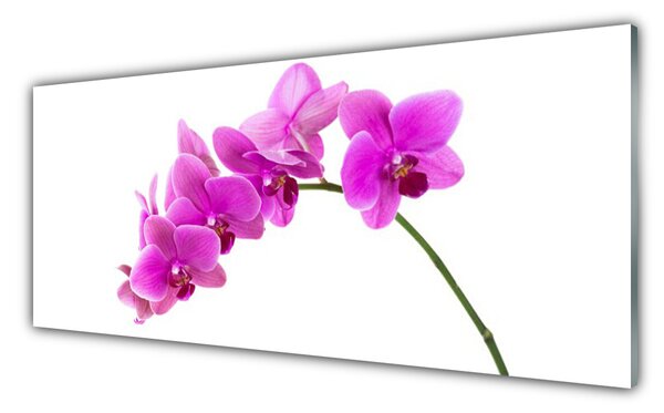 Obraz Szklany Storczyk Kwiat Orchidea