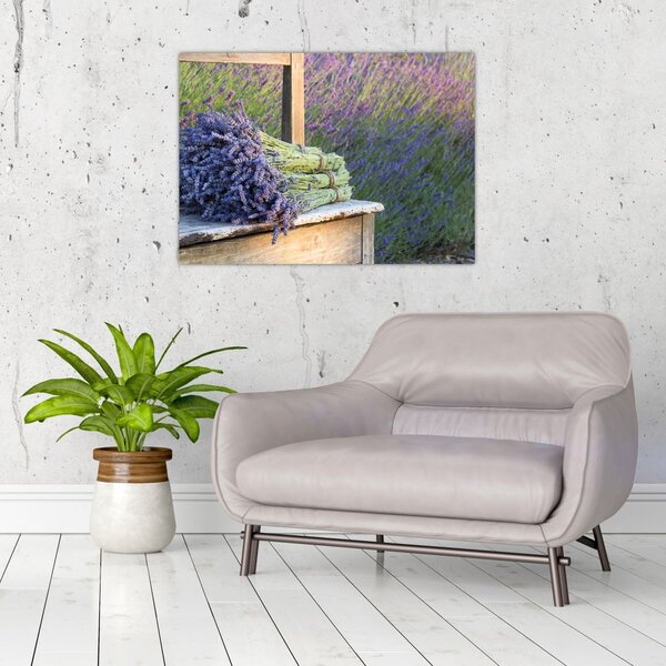 Obraz - Pęczki lawendy (70x50 cm)