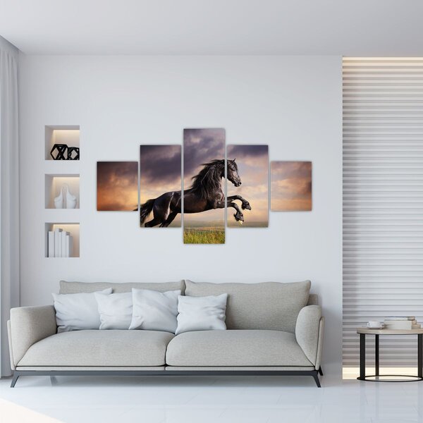 Obraz - Konie (125x70 cm)