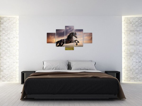 Obraz - Konie (125x70 cm)