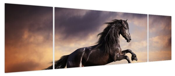 Obraz - Konie (170x50 cm)