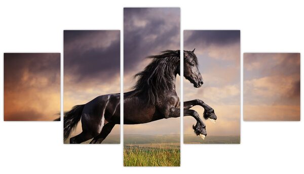 Obraz - Konie (125x70 cm)