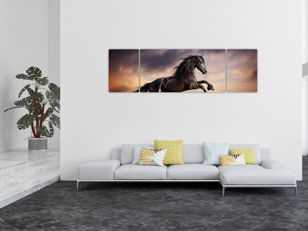 Obraz - Konie (170x50 cm)
