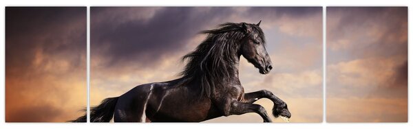 Obraz - Konie (170x50 cm)