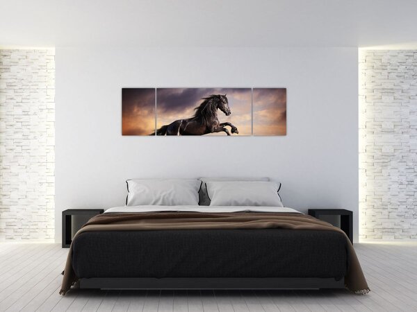 Obraz - Konie (170x50 cm)