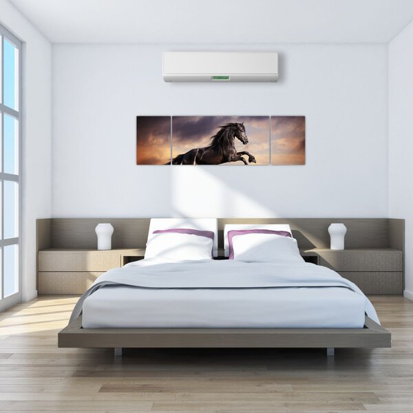 Obraz - Konie (170x50 cm)