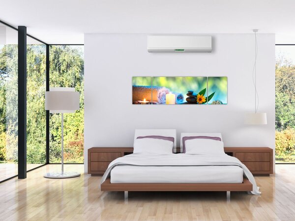 Obraz - Relaks (170x50 cm)