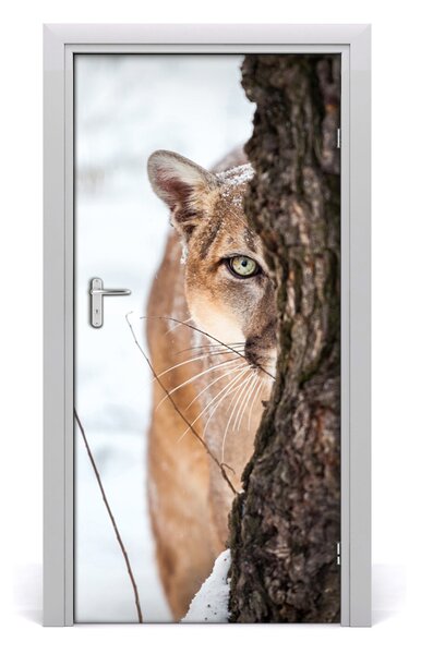 Fototapeta samoprzylepna na drzwi Puma Górska