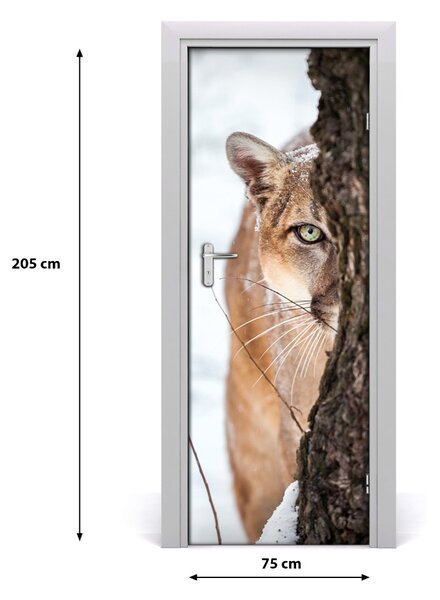 Fototapeta samoprzylepna na drzwi Puma Górska