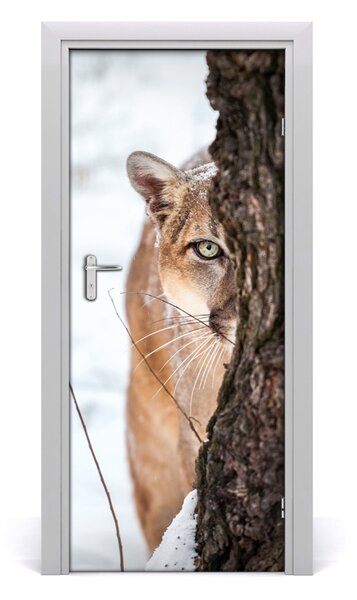 Fototapeta samoprzylepna na drzwi Puma Górska