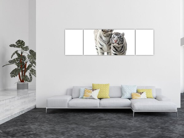 Obraz - Biały Tygrys (170x50 cm)
