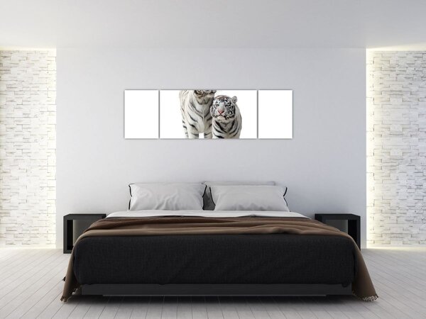 Obraz - Biały Tygrys (170x50 cm)