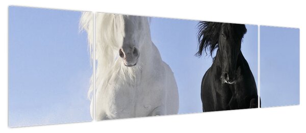 Obraz - Konie zimą (170x50 cm)