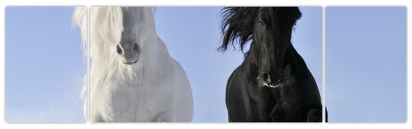 Obraz - Konie zimą (170x50 cm)