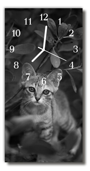 Zegar Szklany Pionowy Zwierzęta Kot zwierzęta szary
