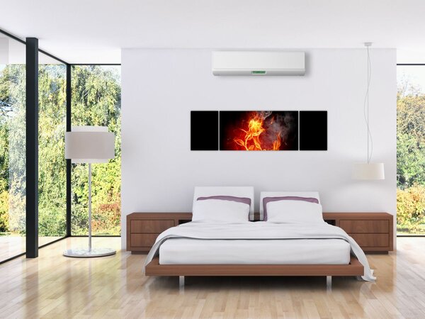Obraz - Róże w ogniu (170x50 cm)