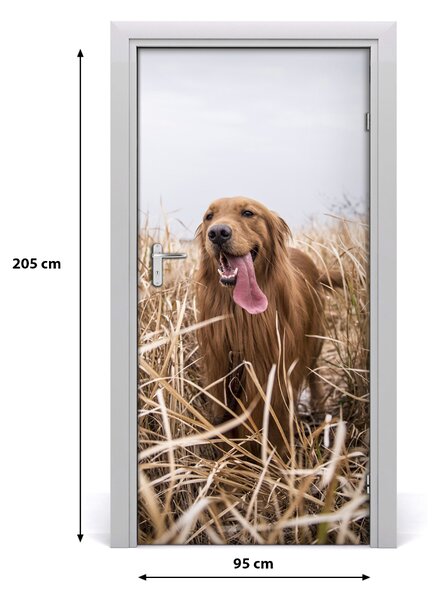 Naklejka samoprzylepna na drzwi Golden retriever