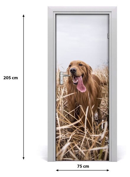 Naklejka samoprzylepna na drzwi Golden retriever