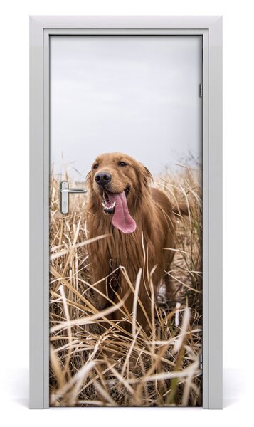 Naklejka samoprzylepna na drzwi Golden retriever