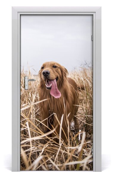 Naklejka samoprzylepna na drzwi Golden retriever