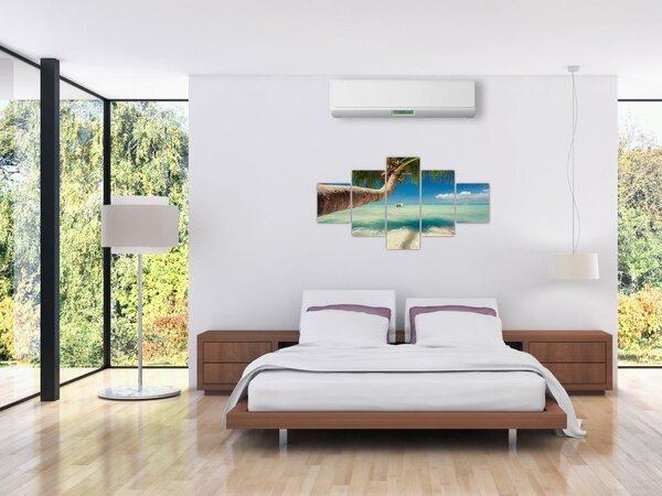 Obraz - Czyste morze z palmą (125x70 cm)