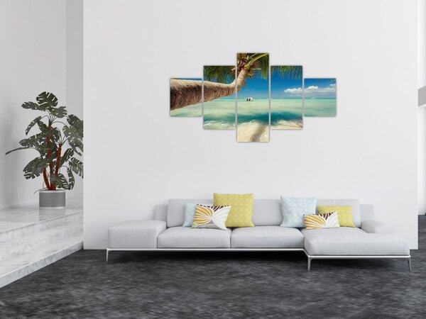 Obraz - Czyste morze z palmą (125x70 cm)