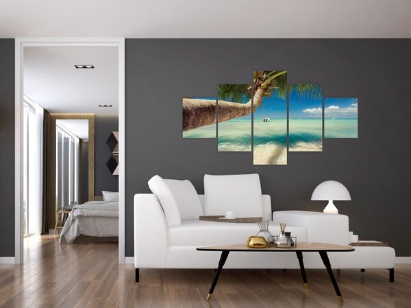 Obraz - Czyste morze z palmą (125x70 cm)