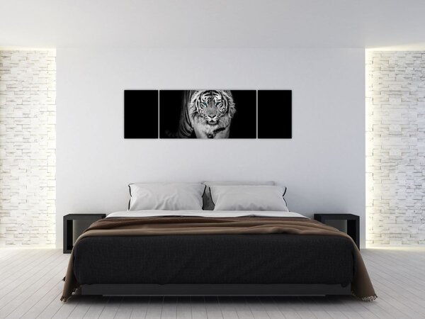 Obraz - Tygrys z niebieskimi oczami (170x50 cm)