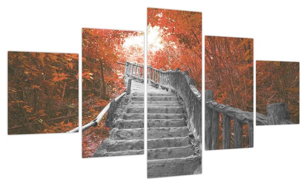 Obraz - Schody w naturze, pomarańczowy (125x70 cm)