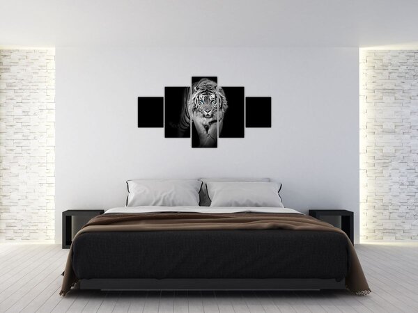 Obraz - Tygrys z niebieskimi oczami (125x70 cm)