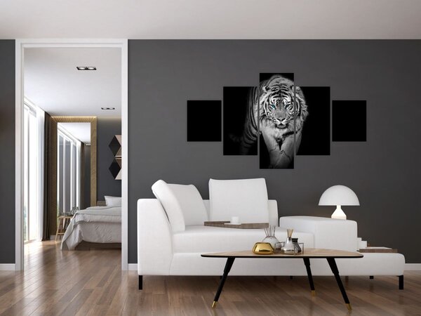 Obraz - Tygrys z niebieskimi oczami (125x70 cm)
