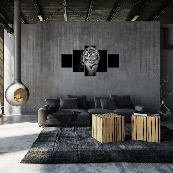 Obraz - Tygrys z niebieskimi oczami (125x70 cm)