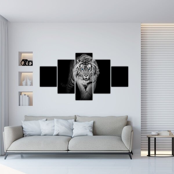 Obraz - Tygrys z niebieskimi oczami (125x70 cm)