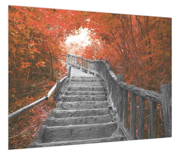 Obraz - Schody w naturze, pomarańczowy (70x50 cm)