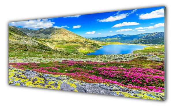 Obraz na Szkle Góra Zatoka Łąka Natura