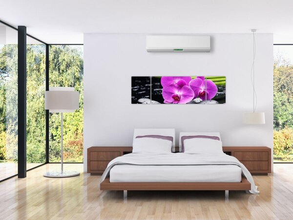 Obraz - Storczyki (170x50 cm)