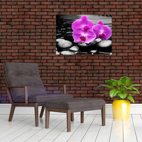 Obraz - Fioletowe orchidee (70x50 cm)