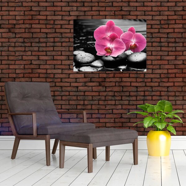 Obraz - Różowe orchidee (70x50 cm)